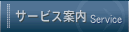 �T�[�r�X�ē�